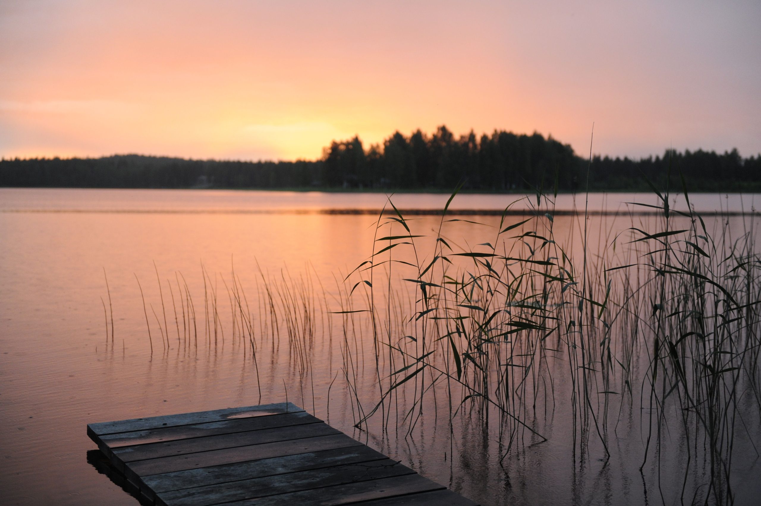 Suunnittelutoimisto Lineaari - kesäloma
